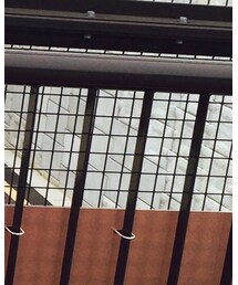 BELAFONTE | カーディガン/ボレロ