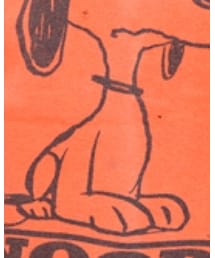 MAYO SPRUCE | スウェット