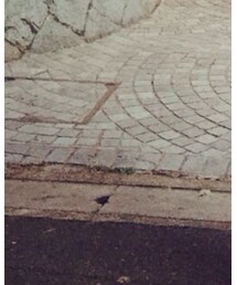 NANO universe | チノパンツ