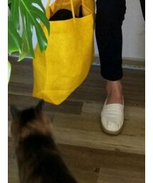 猫　頂き物　ノーブランド　¥0 | その他
