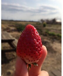 今年初いちご狩り🍓💖💕💓 | その他