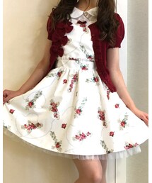 Ank Rouge | ワンピース