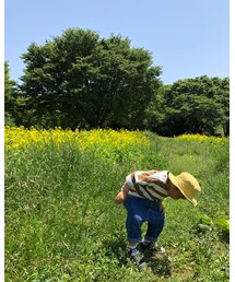 な〜にかな？ | その他