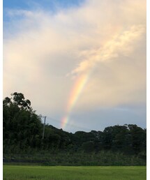 RAINBOW | その他