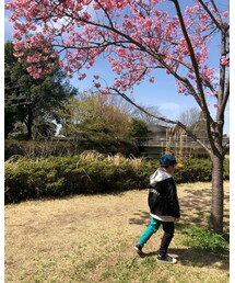 🌸✨ | その他