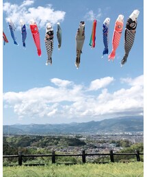 🎏✨ | その他