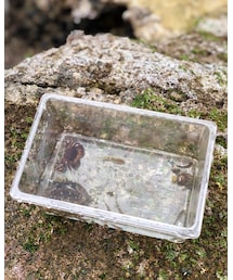 🦀 | その他