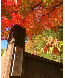 紅葉🍁 | その他