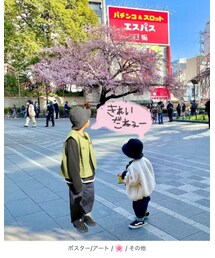 お花見デート🌸✨ | ラッピングキット