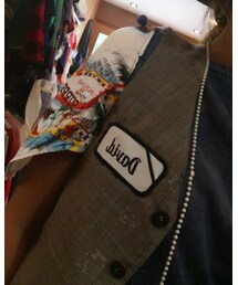 Inpaichthys kerri | ベスト