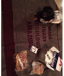 present | ブランケット