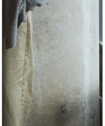 Dickies | チノパンツ