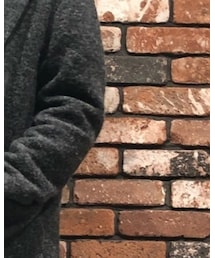 KARL HELMUT | Tシャツ/カットソー