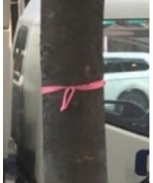 ひも | コスメキット/ギフトセット