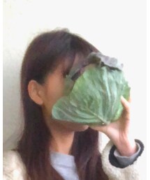 キャベツ | 食器/キッチン