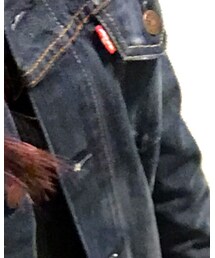 Levi's | デニムジャケット