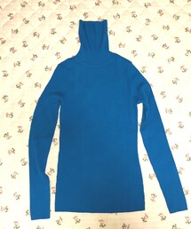 UNIQLO | エクストラファインメリノリブタートルセーター(ニット/セーター)