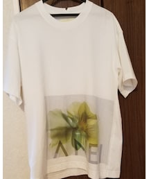 ANEI | Tシャツ/カットソー