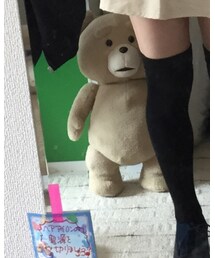 ted | おもちゃ