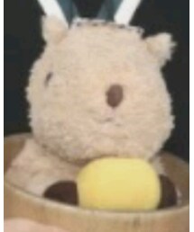 シャボテン公園 | おもちゃ