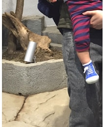 ZARA KIDS | Tシャツ/カットソー