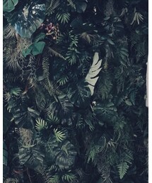 Champion | Tシャツ/カットソー