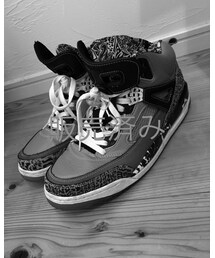 AIR JORDAN | NIKE AIR JORDAN SPYZI'KE EU限定 COOLGREY(スニーカー)