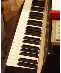 Rhodes suitecase | 音楽/本・雑誌