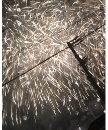 花火🎆 | その他