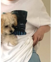 BEAMS | Tシャツ/カットソー