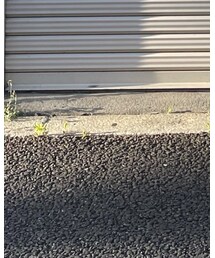 le coq sportif | スニーカー