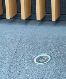 studio CLIP | スニーカー