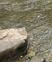 earth music&ecology | デニムパンツ