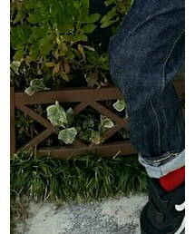 靴下屋 | ソックス/靴下