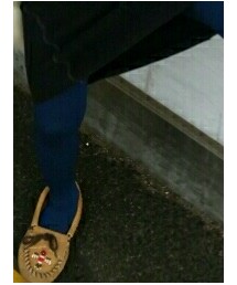 GO TO HOLLYWOOD | ワンピース