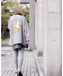 バックショット | その他