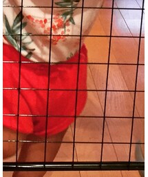 OLD NAVY | その他パンツ