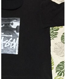 STUSSY | Tシャツ/カットソー