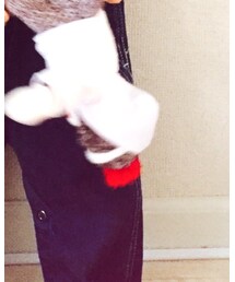 ソックスモンキー | フィギュア