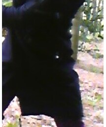 SEXY DYNAMITE LONDON | ダウンジャケット/コート