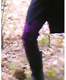 666 | その他パンツ