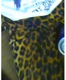 SEXY DYNAMITE LONDON | その他パンツ