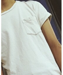 Velva Sheen | Tシャツ/カットソー