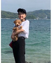 TOMMY HILFIGER | Tシャツ/カットソー