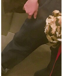 SPINNS | デニムパンツ