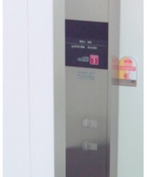 stradivarius | シャツ/ブラウス