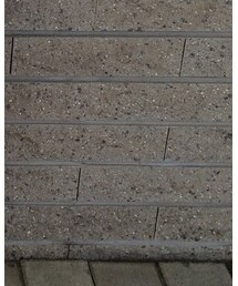 GO TO HOLLYWOOD | トップス