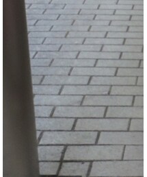 GO TO HOLLYWOOD | スカート