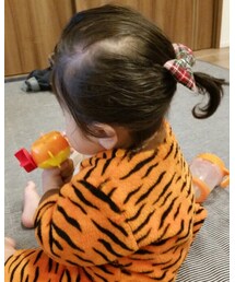 ポニーテールデビュー | その他