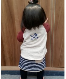 バックショット | ラッピングキット